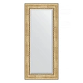 Зеркало в багетной раме Evoform Exclusive BY 3584 72 x 162 см, состаренное серебро с орнаментом Зеркало в багетной раме Evoform Exclusive BY 3584 72 x 162 см, состаренное серебро с орнаментом