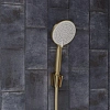 Держатель ручного душа IDDIS Optima Home (080MG00i53) золото матовое Держатель ручного душа IDDIS Optima Home (080MG00i53) золото матовое
