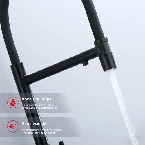 Смеситель для кухни Raglo R81.63.06 с гибким изливом с подключением к фильтру, черный Смеситель для кухни Raglo R81.63.06 с гибким изливом с подключением к фильтру, черный