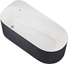 Картинка анонса товара «акриловая ванна allen brau priority 170x80 2.31001.20/am белый глянец (панель антрацит)»