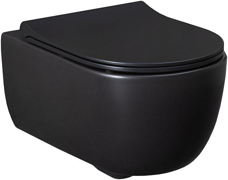 Унитаз подвесной Allen Brau Priority 4.31001.31 с крышкой, черный матовый