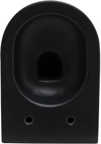 Унитаз подвесной Allen Brau Reality 4.32006.31 с крышкой, черный матовый Унитаз подвесной Allen Brau Reality 4.32006.31 с крышкой, черный матовый