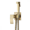 Гигиенический душ ABBER Wasserfall AF8625G золото матовое Гигиенический душ ABBER Wasserfall AF8625G золото матовое