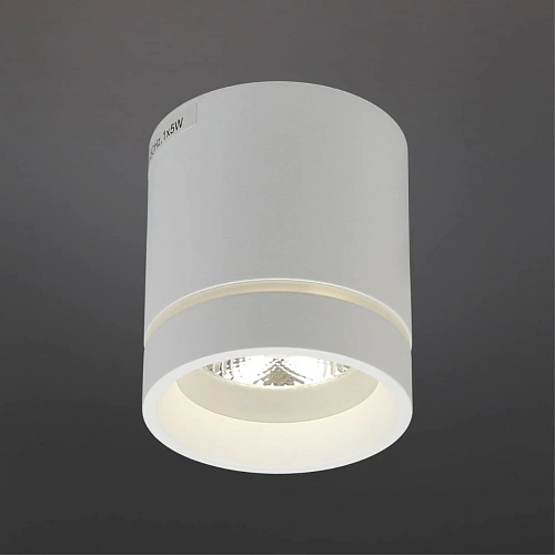 Светильник встраиваемый-накладной Aployt Gita APL.0044.09.05 Светильник встраиваемый-накладной Aployt Gita APL.0044.09.05