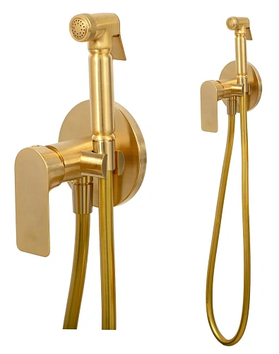 Гигиенический душ Remer Infinity I65BG, золото брашированное Гигиенический душ Remer Infinity I65BG, золото брашированное