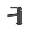 Смеситель для биде Aquatek КЛАССИК AQ1518MB Черный матовый Смеситель для биде Aquatek КЛАССИК AQ1518MB Черный матовый