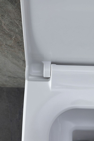 Унитаз подвесной Allen Brau Infinity 4.21011.20 с крышкой, белый глянец