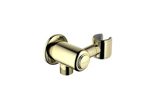 Шланговое подключение Aquatek КЛАССИК AQ2462PG золото полированное Шланговое подключение Aquatek КЛАССИК AQ2462PG золото полированное