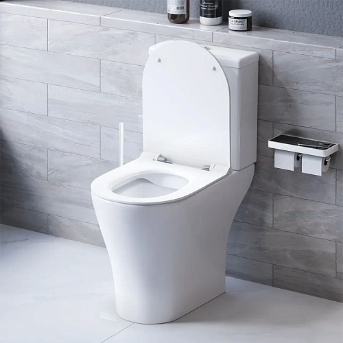 Унитаз напольный Damixa Sirius DX86C8600SC безободковый с сиденьем микролифт Унитаз напольный Damixa Sirius DX86C8600SC безободковый с сиденьем микролифт