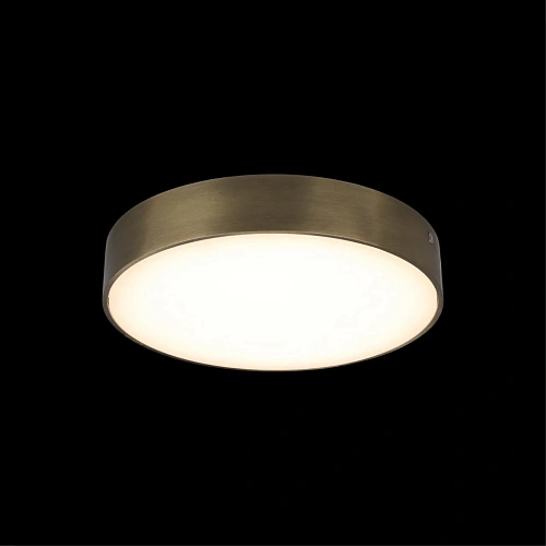 Светильник настенно-потолочный Aployt Evon APL.0113.29.24 Светильник настенно-потолочный Aployt Evon APL.0113.29.24