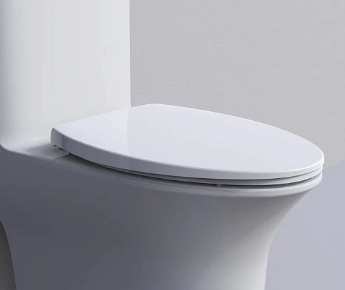 Крышка-сиденье ARROW PG006-ZPA белый Крышка-сиденье ARROW PG006-ZPA белый