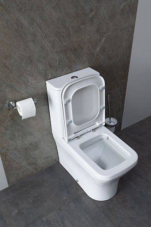 Чаша напольного унитаза Allen Brau Infinity 4.21012.20 с крышкой, белый глянец