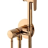 Гигиенический душ Wonzon & Woghand TOR розовое золото (WW-88829073-RG) Гигиенический душ Wonzon & Woghand TOR розовое золото (WW-88829073-RG)