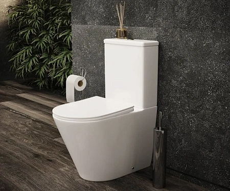 Чаша напольного унитаза Ceramica Nova HIGHLIGHT Rimless CN1802-B белый с сиденьем Чаша напольного унитаза Ceramica Nova HIGHLIGHT Rimless CN1802-B белый с сиденьем