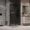 Душевая дверь Niagara Nova NG-85-14TB (140x195) черный матовый, стекло тонированное Душевая дверь Niagara Nova NG-85-14TB (140x195) черный матовый, стекло тонированное