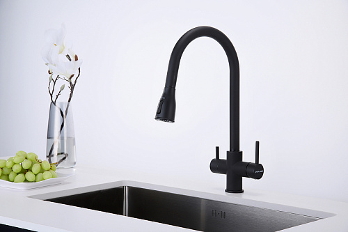 Смеситель для кухни Paulmark LANGE антрацит La214212-AN Смеситель для кухни Paulmark LANGE антрацит La214212-AN