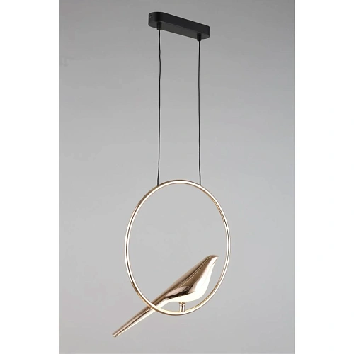 Светильник подвесной Aployt Astor APL.822.06.10 Светильник подвесной Aployt Astor APL.822.06.10