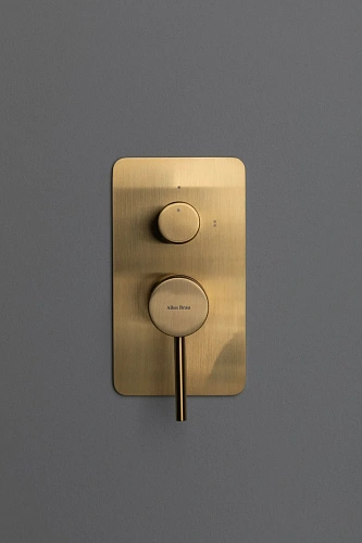 Смеситель для ванны Allen Brau Priority 5.31011-GB (с внутренней частью, 2 выхода) золото Смеситель для ванны Allen Brau Priority 5.31011-GB (с внутренней частью, 2 выхода) золото