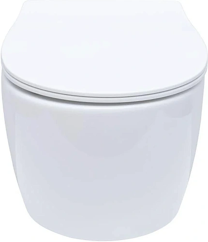 Комплект унитаза Allen Brau Fantasy 4.11004.20/8.9466.0.000.000.1 (00316504) с инсталляцией, белый глянец Комплект унитаза Allen Brau Fantasy 4.11004.20/8.9466.0.000.000.1 (00316504) с инсталляцией, белый глянец