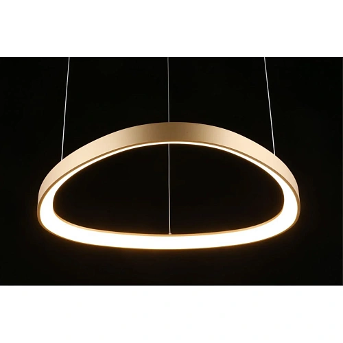 Люстра подвесная Aployt Zula APL.022.03.48 Люстра подвесная Aployt Zula APL.022.03.48