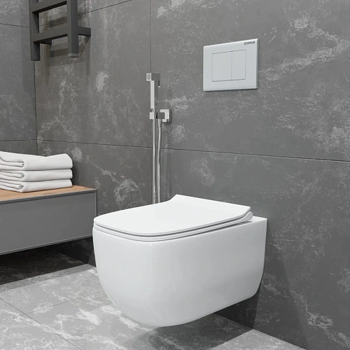 Унитаз подвесной CHARUS PINTO RIMLESS EWC700-126W безободковый, c легкосъемным сиденьем, с функцией микролифт Унитаз подвесной CHARUS PINTO RIMLESS EWC700-126W безободковый, c легкосъемным сиденьем, с функцией микролифт