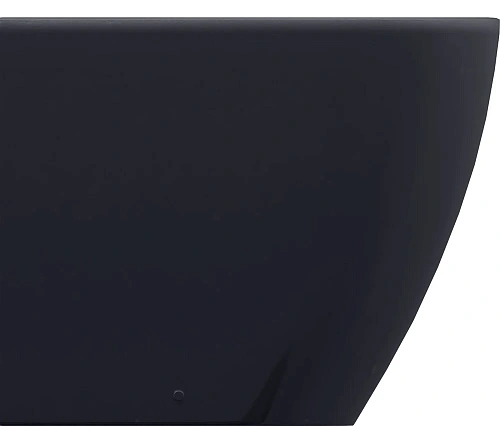 Биде напольное Allen Brau Reality 4.32005.AN антрацит Биде напольное Allen Brau Reality 4.32005.AN антрацит