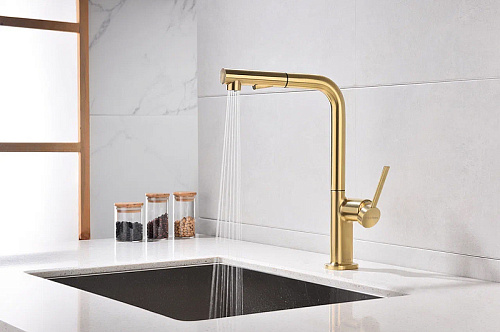 Смеситель для кухни Paulmark Neo брашированное золото Ne214419-BG Смеситель для кухни Paulmark Neo брашированное золото Ne214419-BG