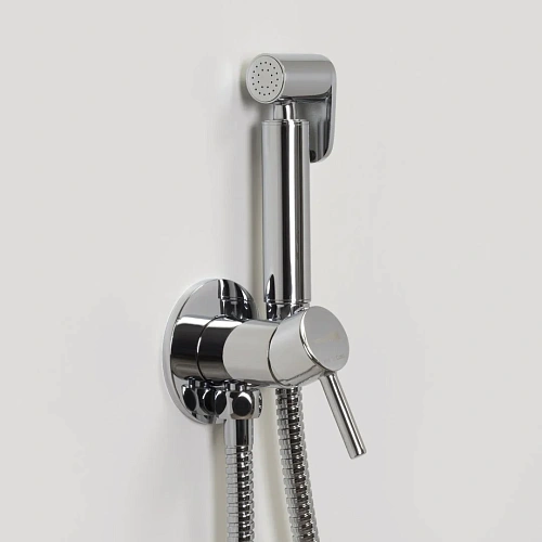 Гигиенический душ WasserKRAFT A70138 хром Гигиенический душ WasserKRAFT A70138 хром