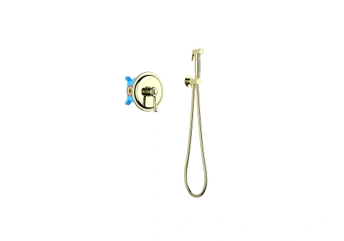 Гигиенический душ Aquatek КЛАССИК AQ1519PG золото полированное, встраиваемый Гигиенический душ Aquatek КЛАССИК AQ1519PG золото полированное, встраиваемый