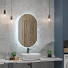 Зеркало Taliente Zled-F с LED-подсветкой, 60x100см, овальное TA-Zled-F60100 Зеркало Taliente Zled-F с LED-подсветкой, 60x100см, овальное TA-Zled-F60100