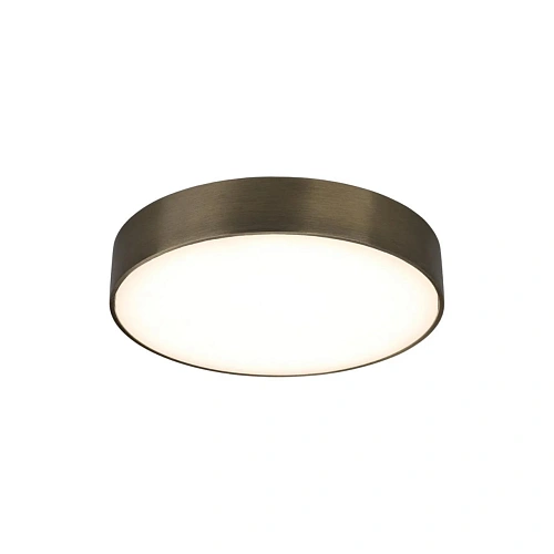 Светильник настенно-потолочный Aployt Evon APL.0114.29.24 Светильник настенно-потолочный Aployt Evon APL.0114.29.24