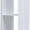 Полка Aquanet Магнум 15x100 белая матовая, вертикальная 00302238 Полка Aquanet Магнум 15x100 белая матовая, вертикальная 00302238