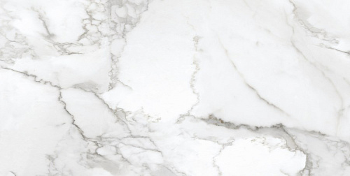 Керамогранит Neodom Ambassador Arabescato 60x120 CV20193 Керамогранит Neodom Ambassador Arabescato 60x120 CV20193