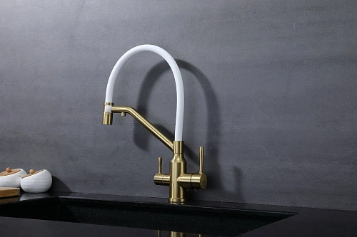 Смеситель для кухни Raglo R81.62.03 с гибким изливом с подключением к фильтру, золотой сатин Смеситель для кухни Raglo R81.62.03 с гибким изливом с подключением к фильтру, золотой сатин