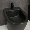 Биде напольное Gid BDN-36BM 21107 черный матовый 56x36.5x42 Биде напольное Gid BDN-36BM 21107 черный матовый 56x36.5x42