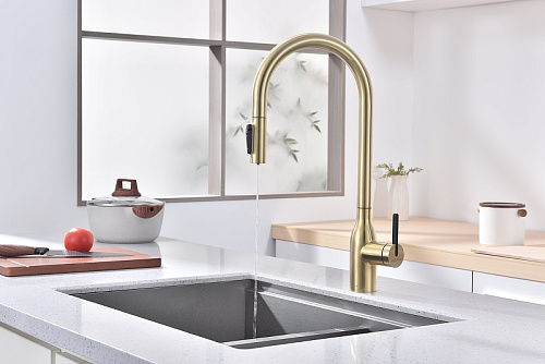 Смеситель для кухни Paulmark UNIVERSAL светлое золото Un213880-LG Смеситель для кухни Paulmark UNIVERSAL светлое золото Un213880-LG