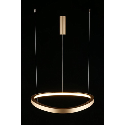 Люстра подвесная Aployt Zula APL.022.03.48 Люстра подвесная Aployt Zula APL.022.03.48