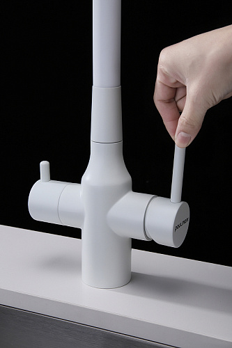 Смеситель для кухни Paulmark SALIX белый матовый Sa213419-WH Смеситель для кухни Paulmark SALIX белый матовый Sa213419-WH