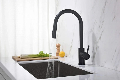 Смеситель для кухни Aquatek ЕВРОПА AQ1384MB Черный матовый Смеситель для кухни Aquatek ЕВРОПА AQ1384MB Черный матовый