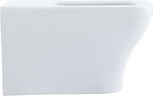 Комплект унитаза Allen Brau Infinity 4.21011.20/8.9466.0.000.000.1 (00316506) с инсталляцией, белый глянец Комплект унитаза Allen Brau Infinity 4.21011.20/8.9466.0.000.000.1 (00316506) с инсталляцией, белый глянец