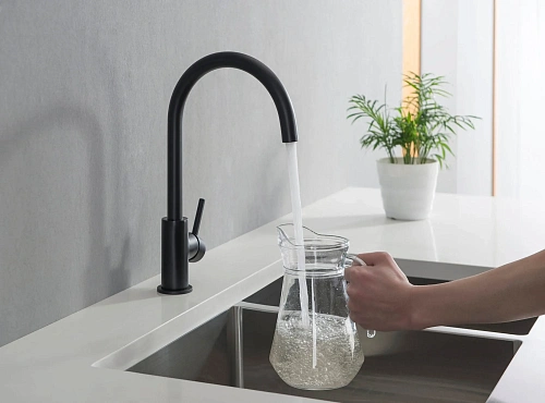 Смеситель для кухни Aquatek ЕВРОПА AQ1382MB Черный матовый Смеситель для кухни Aquatek ЕВРОПА AQ1382MB Черный матовый