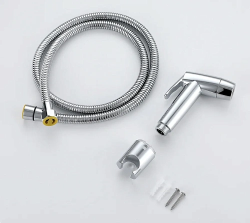 Гигиенический душ Raglo R460.50 лейка 2 режима, шланг 1, 2 м сталь, хром Гигиенический душ Raglo R460.50 лейка 2 режима, шланг 1, 2 м сталь, хром