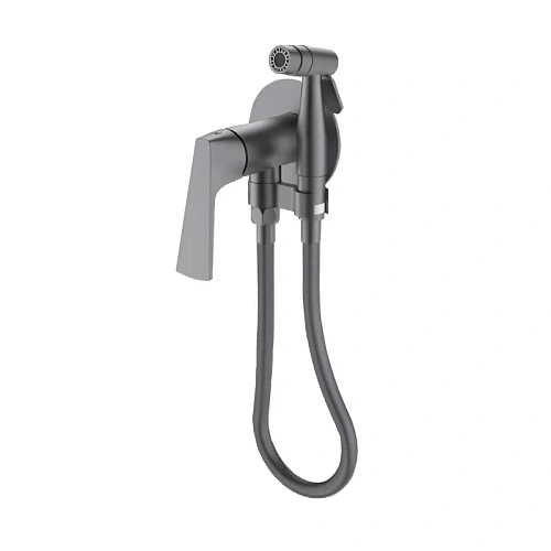 Гигиенический душ Raglo R07.52.09 встраиваемый, графит Гигиенический душ Raglo R07.52.09 встраиваемый, графит