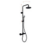 Картинка анонса товара «душевая система fima carlo frattini shower column f4285/r259ns»