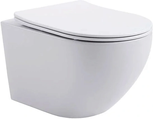 Унитаз подвесной Aquanet Rimless Cetus 2.0 W LX-1901 с сиденьем Унитаз подвесной Aquanet Rimless Cetus 2.0 W LX-1901 с сиденьем