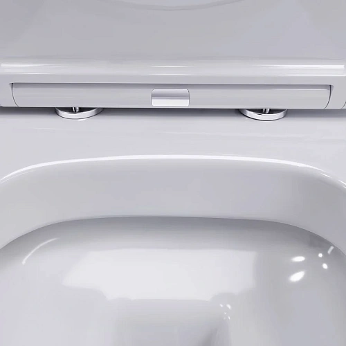 Унитаз подвесной Damixa Sirius DX86C1700SC безободковый с сиденьем микролифт Унитаз подвесной Damixa Sirius DX86C1700SC безободковый с сиденьем микролифт