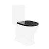 Картинка анонса товара «крышка-сиденье kerama marazzi pompei черная глянцевая po.seat.01\blk»