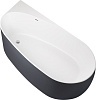 Картинка анонса товара «акриловая ванна allen brau priority 170x80 2.31002.21/am белый матовый (панель антрацит)»