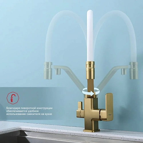 Смеситель для кухни Raglo R85.62.03 с гибким изливом с подключением к фильтру, золотой сатин Смеситель для кухни Raglo R85.62.03 с гибким изливом с подключением к фильтру, золотой сатин