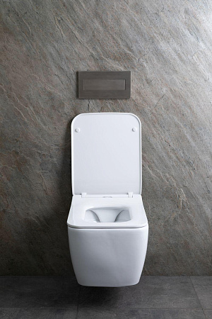 Унитаз подвесной Allen Brau Liberty 4.33007.20 с крышкой, белый